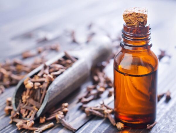 wholesale-clove-oil